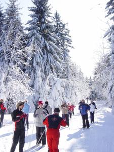 Langlaufkurs bayerischer Wald