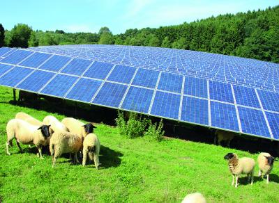 7x7 Referenzobjekt: Solarpark in Dietzhölztal.