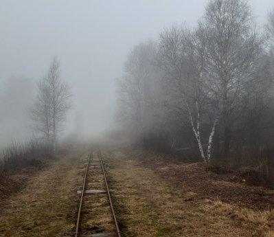Ahlenmoor - Nebelgleise - S.Fürst CC BY NC.jpg
