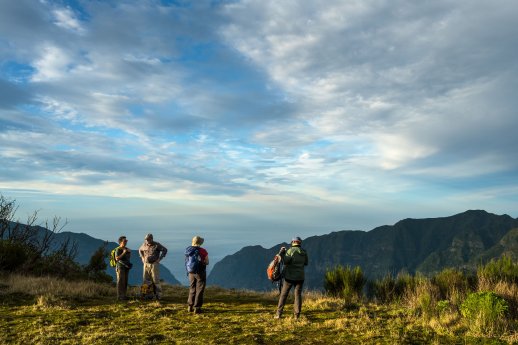 madeira-trekking-wikinger-reisen-honorarfrei-33.jpg