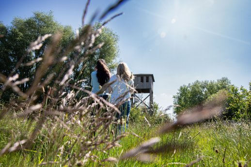 Magischer Ort am Schanzenturm Hetlingen.jpg
