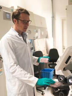 Dr. med. Timon Seeger mit Zellkulturen in seinem Labor im Universitätsklinikum Heidelberg, Foto: Universitätsklinikum Heidelberg