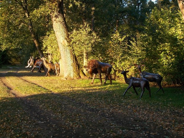 Tierpark Birkenried.jpg