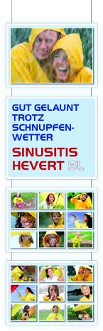 Hevert_Sinusitis_Schaufensterdeko_Deckenhänger.jpg