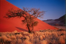 Namib Wüste in Namibia