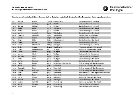 meister17.pdf