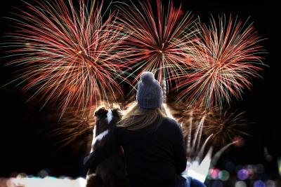 Hund_Silvester