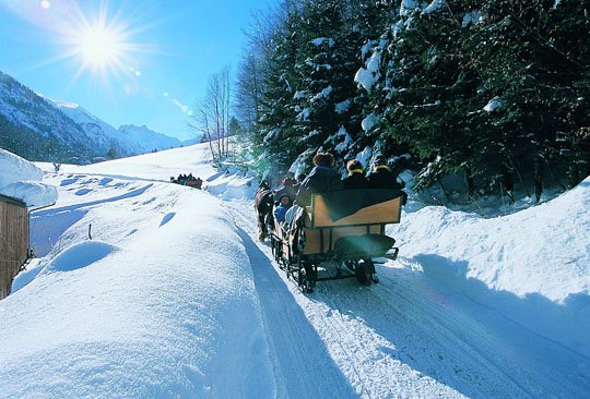 Winteraction Allgäu_pferdeschlitten.jpg