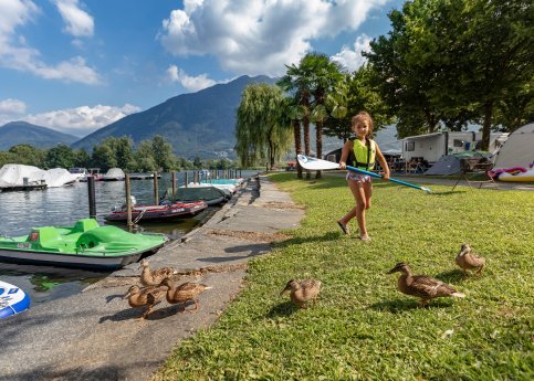 High quality-Campeggio a Tenero-Copyright Ticino Turismo - Foto Alessio Pizzicannella-3.jpg