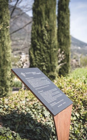(C) Hannes Niederkofler_WEB-9102 Kneipp Steinach.jpg