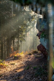 RLH Weg Stimmung Winterwandern_thorsten günthert.jpg