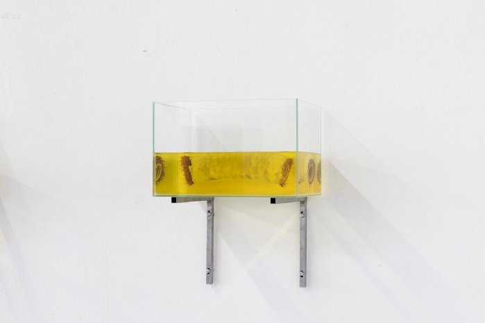 Drain von Maria Gerbaulet ©IreneJanson.jpg