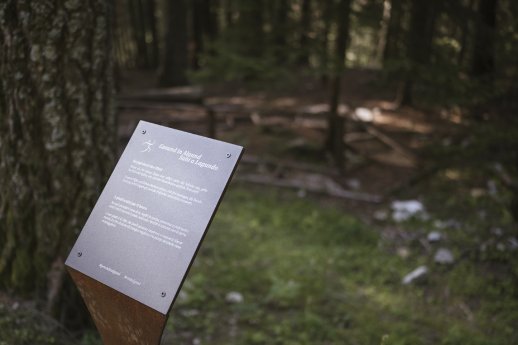 Walderlebnispfad Aschbach_TV Algund-Armin Terzer (88).jpg