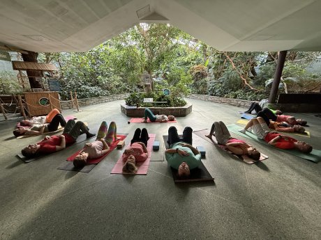 2025 Yoga im Zoo  © Zoo Frankfurt.JPG