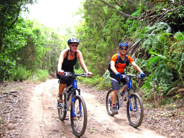 Singlereisen_La Gomera_MTB-Urwaldtour.jpg