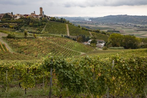 Barbaresco_Alessandro Sgarito_Archivio Ente Turismo LMR (2).jpg