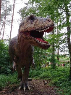 Hautnah Dinos erleben!
