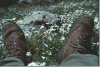 Wanderschuhe 