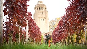 Konstanz_Bismarckturm_Weinreben_Paar_Spaziergang_05_Herbst_Copyright_MTK_Hari_Pulko[1].jpg