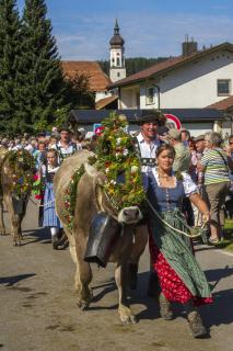 Erleben, Entspannen und Genießen in gesunder Bergluft