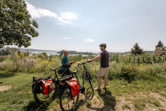 Konstanz-Litzelstetten-Bodensee-Mainau-Radfahren-Weinberg-Bluete-Paar-17_Copyright_MTK-Leo-.jpg