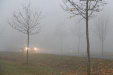 Viele Autofahrer sind verunsichert, sobald eine 