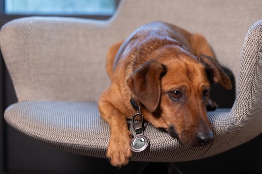 kr25-05si_Airtag holder_Troika-7.JPG