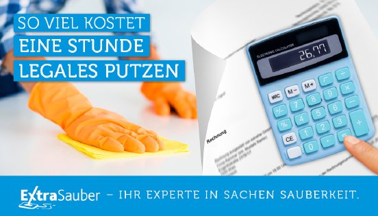 ExtraSauber_Header_Reinigungspreis_DE.jpg