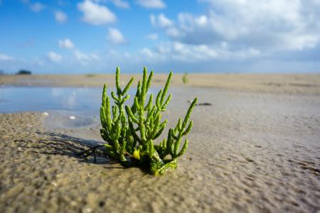Das Strandhotel im Einklang mit der fantastischen Natur vor seiner Haustür