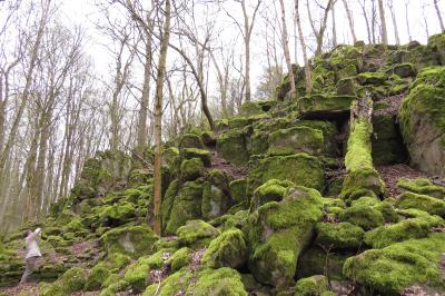 Der Alteburgskopf – eine beeindruckende Felsformation oberhalb von Schotten (Foto: Susanne Jost)