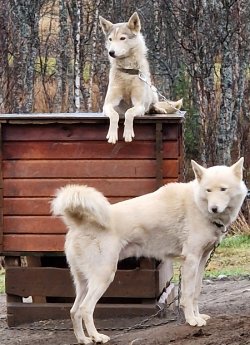 (c) Armin Rickert, Karawane (3).jpg