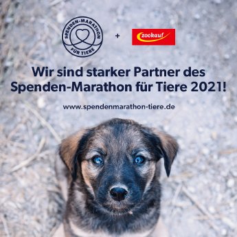Spenden-Marathon-2021-Kooperationpartner zookauf.png