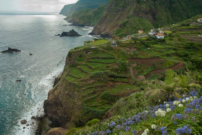 singlereisen.de_Madeira Segeln_Felsküste Madeira.jpg