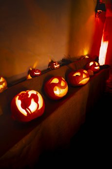 Kürbiswochen 2024 @Nick Berger Web-33.jpg