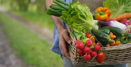 Junger Farmer mit appetitlicher Ernte.
Adobe Stock