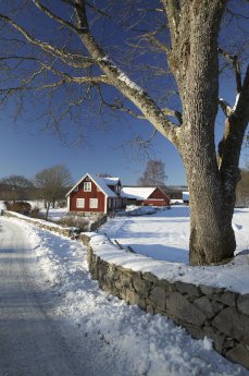 Winter in Schweden.jpg