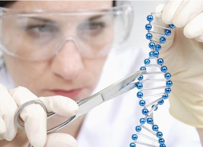Bei der Regensburger Geneart AG entwickeln Wissenschaftler künstliche Gene, die als „winzige Helfer“ die Motoren für die Biotech-Innovationen von morgen sind – vom Aids-Medikament bis zum Biokraftstoff. Foto: obx-news