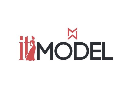 It Model Logo.jpg