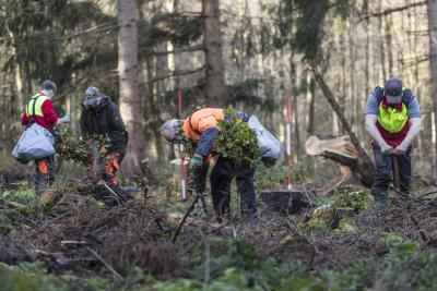 Internationaler Tag der Wälder