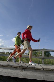 Nordic-Walking auf Dünensteg.jpg