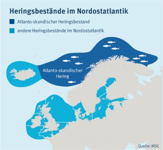 Verbreitung des atlanto-skandischen Heringsbestands
