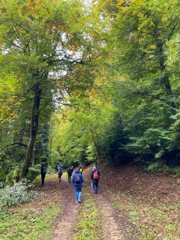 Waldbaden__©Kur und Bäder GmbH Bad Krozingen.jpg