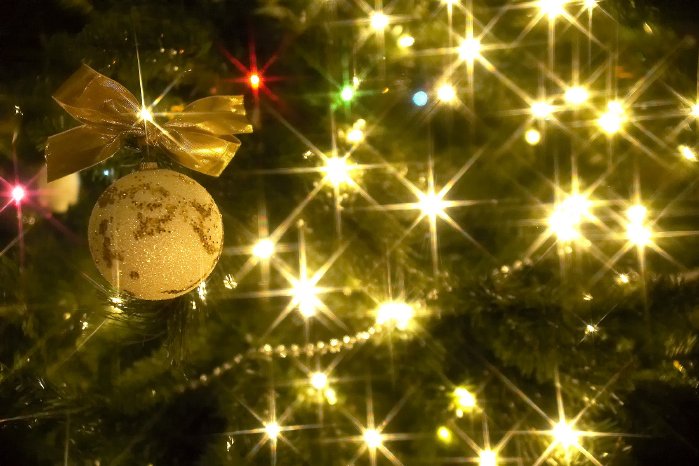 Beleuchtung_bigstock-Christmas-Tree-1120007.jpg
