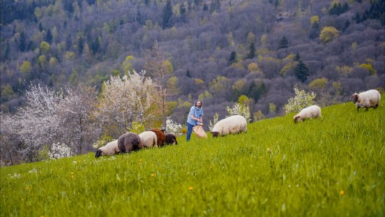 Naturpark-Wirte Stefan Doll Dolle Frieders Burewirtschaft © Black Forest Collective.jpg
