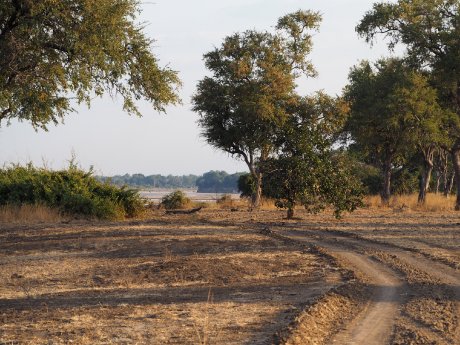 (c) Karawane, Hannah Blechschmidt (10).JPG