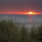 Die erste Juister Winterakademie bietet eine Woche lang die Möglichkeit, an unterschiedlichen Kursen teilzunehmen, die Kreativität fördern und Stress abbauen