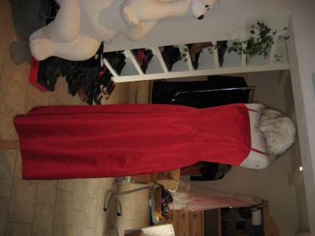 rotes Kleid mit Pelz.JPG