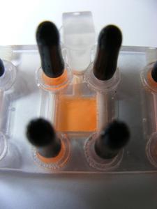 Das Team des Lehr- und Forschungsbereichs Mikrosystemtechnik stellt unter dem Thema "Hardware für Life Sciences" aktuelle Forschungsergebnisse vor: Ein im Rahmen eines Verbundprojekts entwickelter miniaturisierter Bioreaktor dient der Züchtung und Kultivierung von menschlichen Zellen. Einsatzbereiche sind die pharmazeutische und medizinische Forschung