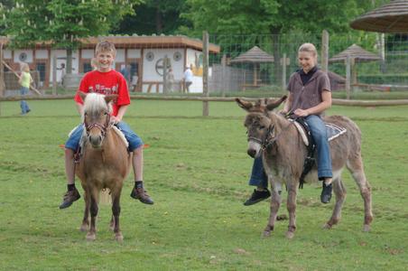 Erweitertes Parkangebot: Esel- und Ponyreiten