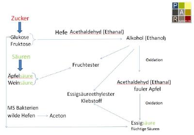 Weinbau, Kellertechnik und Grundlagen der Sensorik 2018